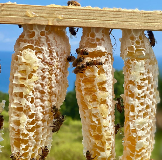 Natural Beekeeping: Sustainable and Harm-Free Bee Management - Māla Honey Botanicals