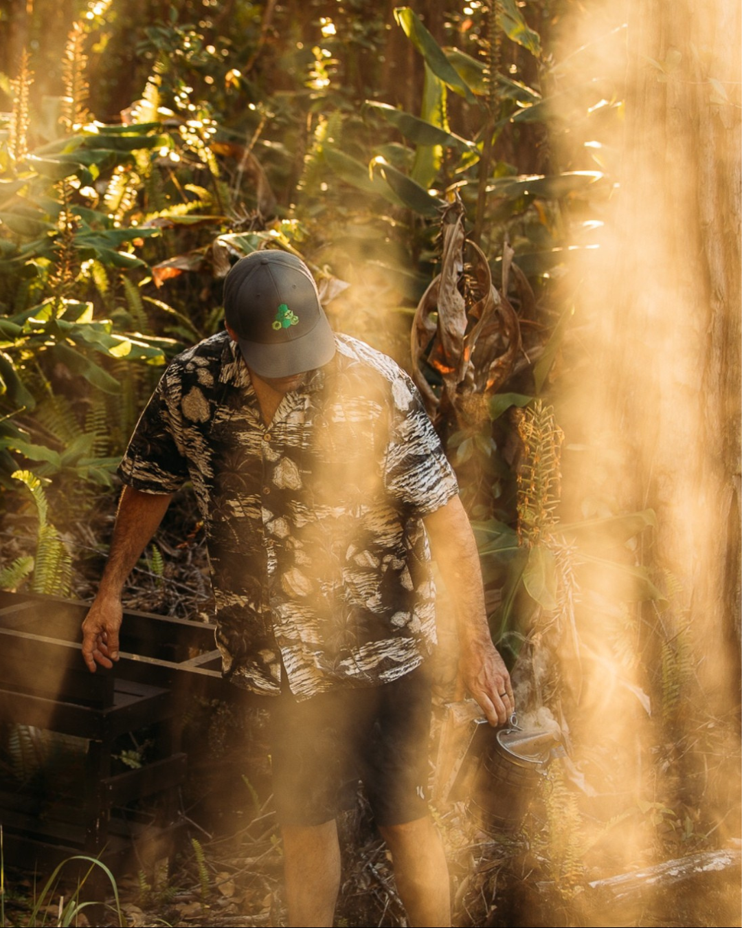 Snapback Māla Honey