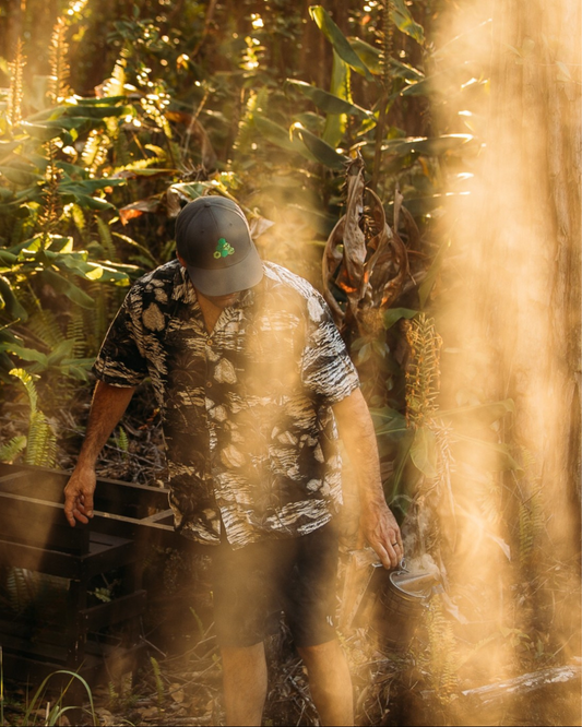 Snapback Māla Honey