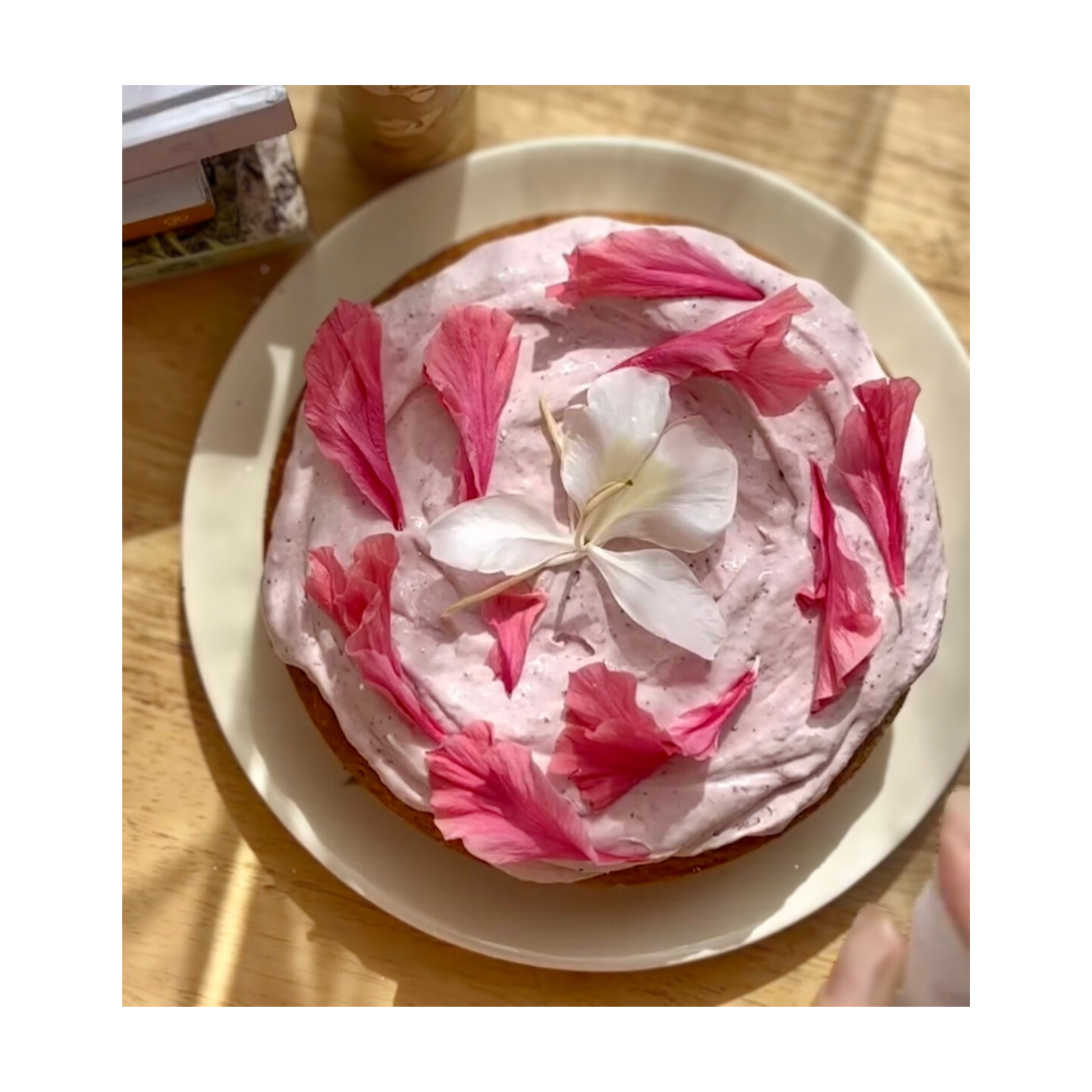 Pink and white flower petal dessert on a white plate