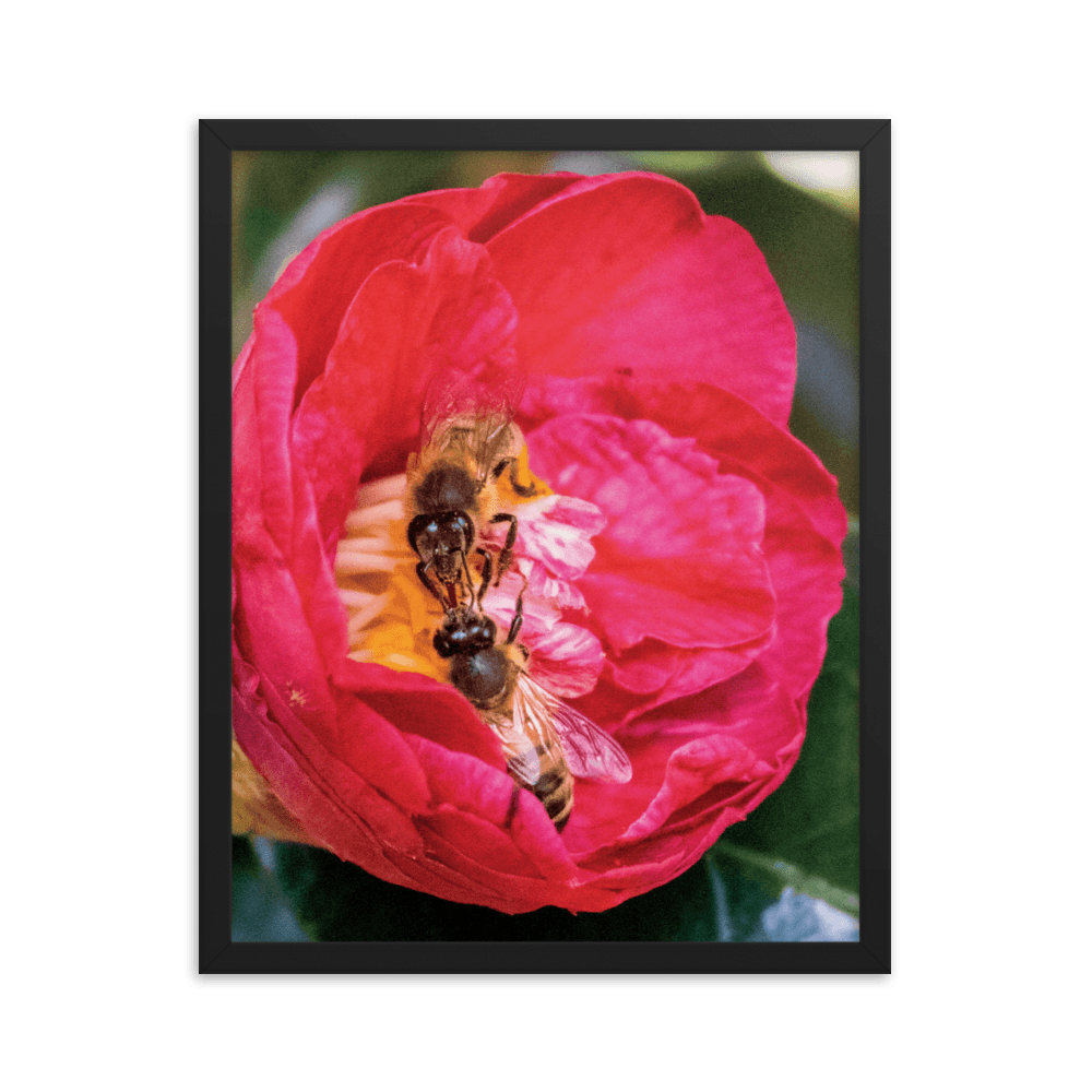 TWO SISTERS Framed Photo Print - Māla Honey Botanicals