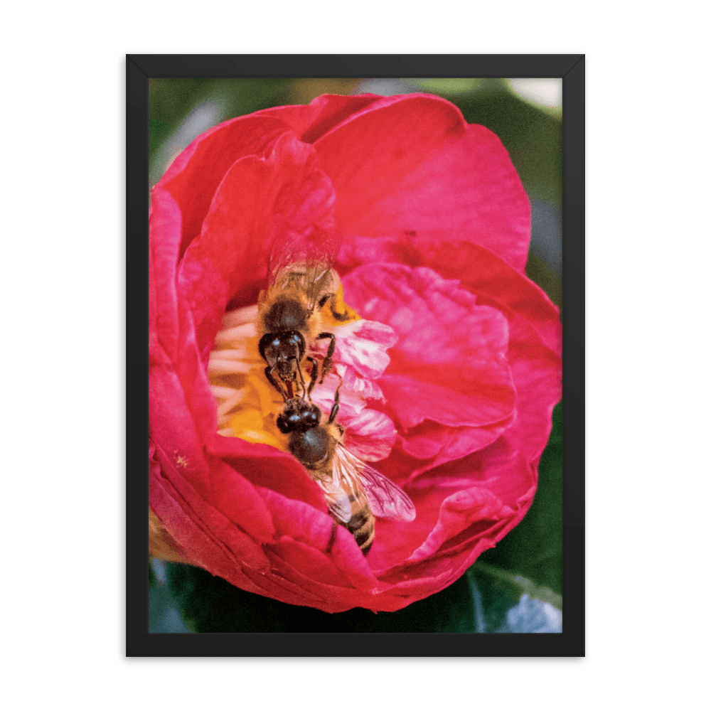 TWO SISTERS Framed Photo Print - Māla Honey Botanicals