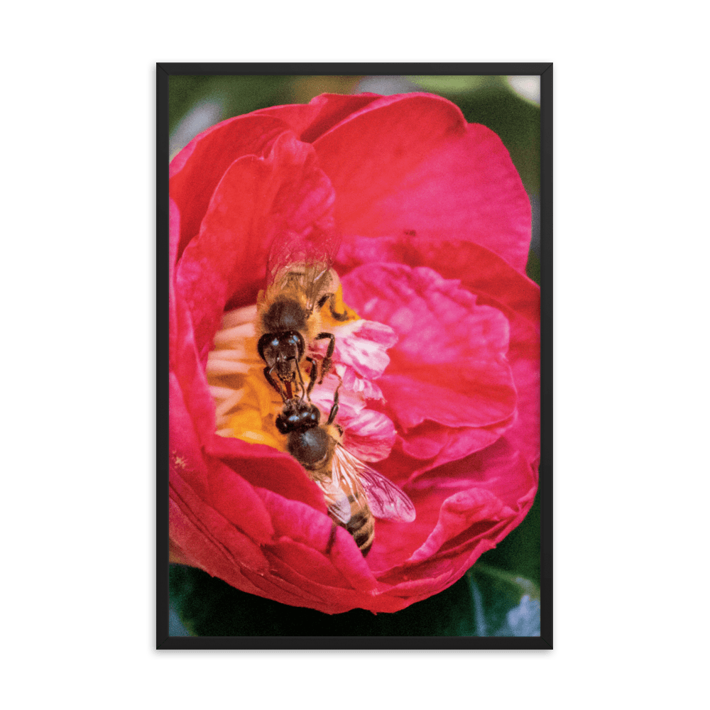 TWO SISTERS Framed Photo Print - Māla Honey Botanicals