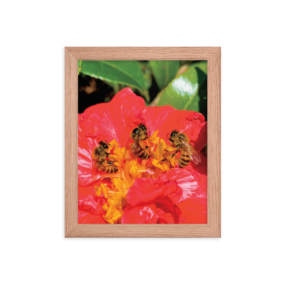 THREE SISTERS Framed Photo Print - Māla Honey Botanicals